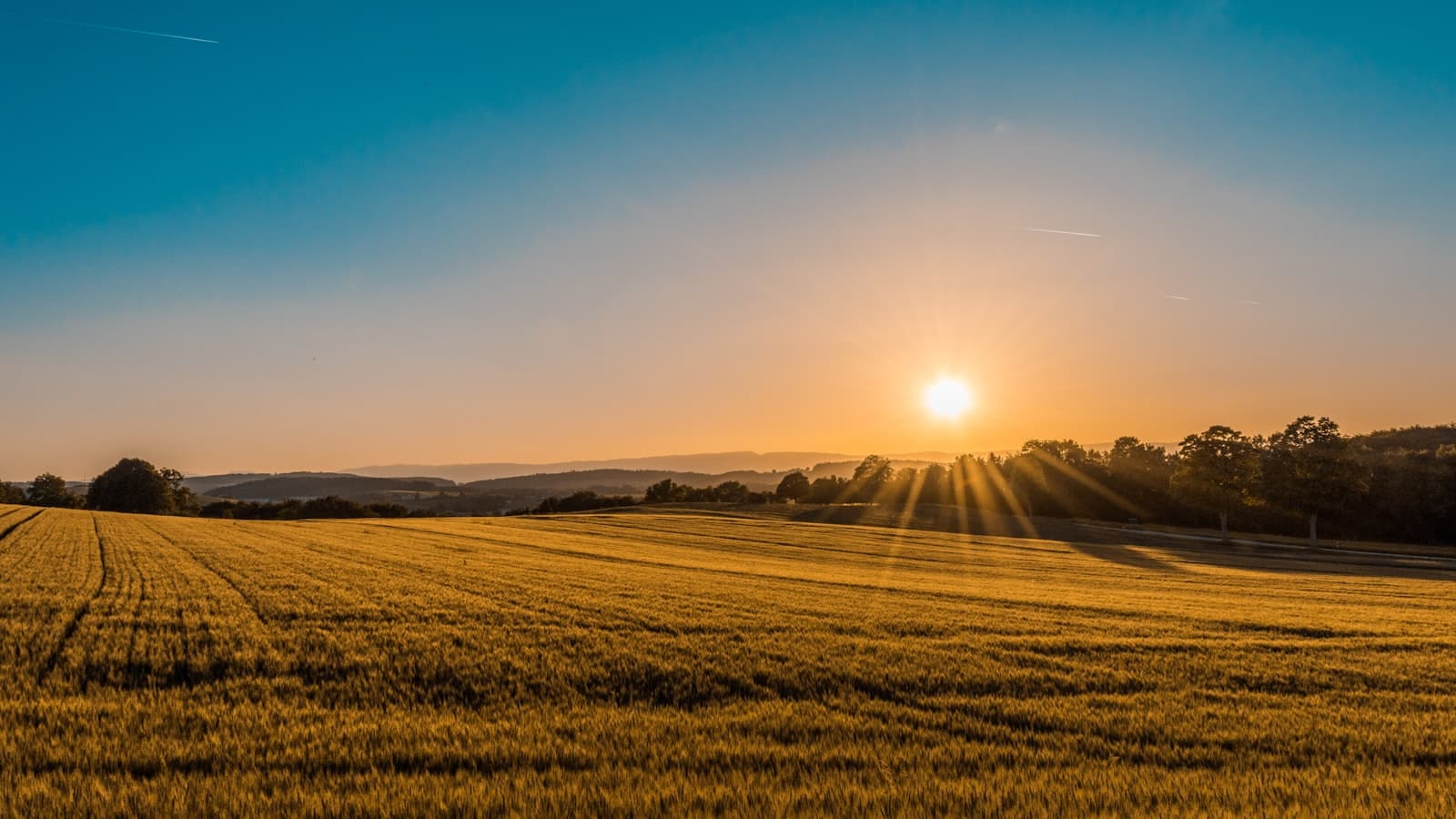 Agricultural insurance